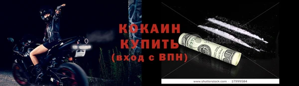 PSILOCYBIN Бородино