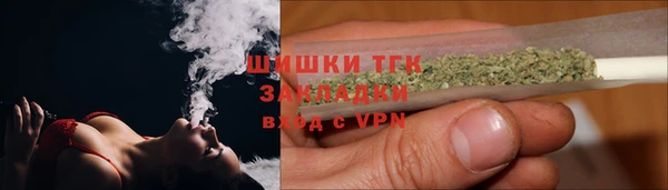 PSILOCYBIN Бородино