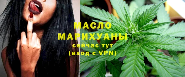 spice Богородск