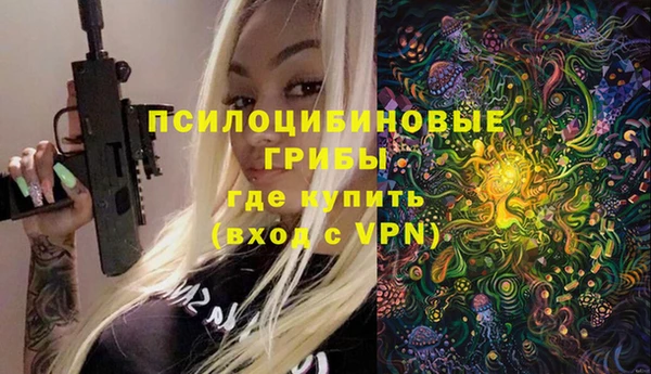 PSILOCYBIN Бородино