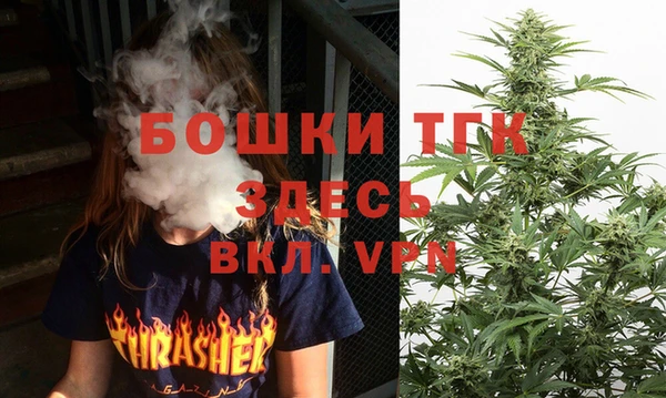 хмурый Бронницы