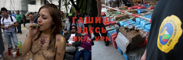 spice Богородск