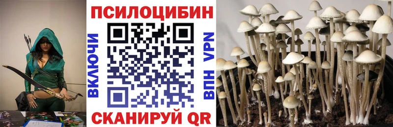 Галлюциногенные грибы мицелий  Верхняя Салда 